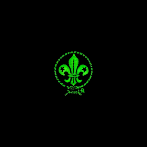 Insignias
